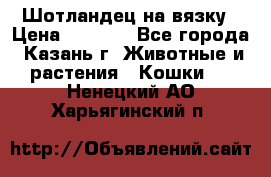 Шотландец на вязку › Цена ­ 1 000 - Все города, Казань г. Животные и растения » Кошки   . Ненецкий АО,Харьягинский п.